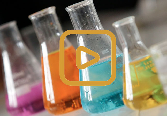 Vocabulario Básico. A-Ácido